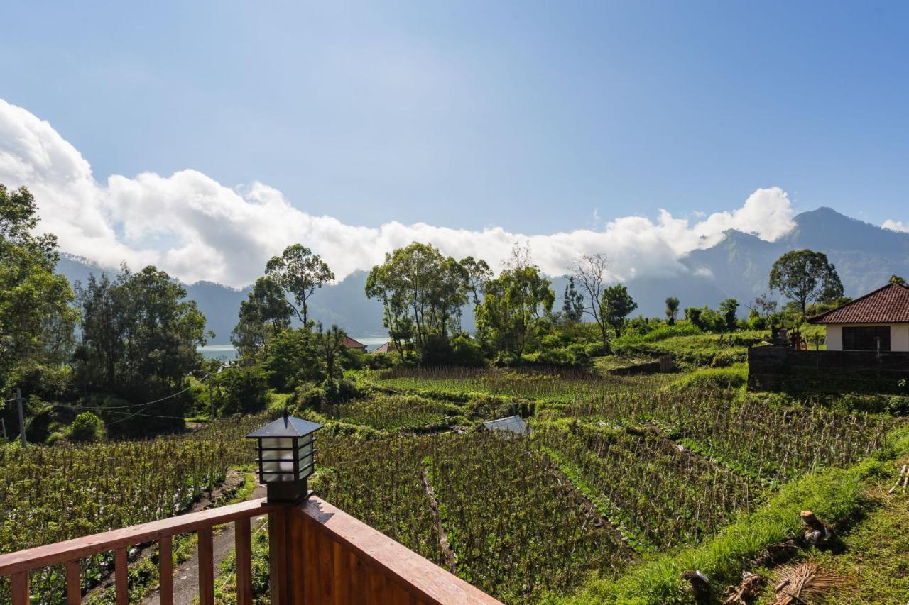 Mount Batur Villa Kintamani  Exterior photo